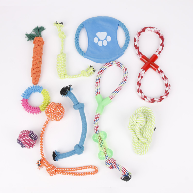 SKL-P002 Pet Chew Toy Set