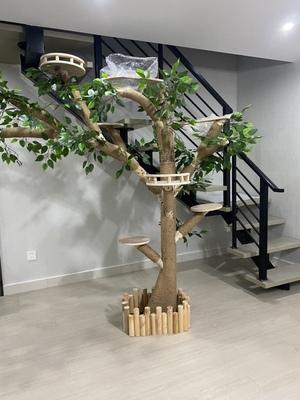 Relaxlines Chinese Factory Real Tree Plant Cat Trees For Big Cats